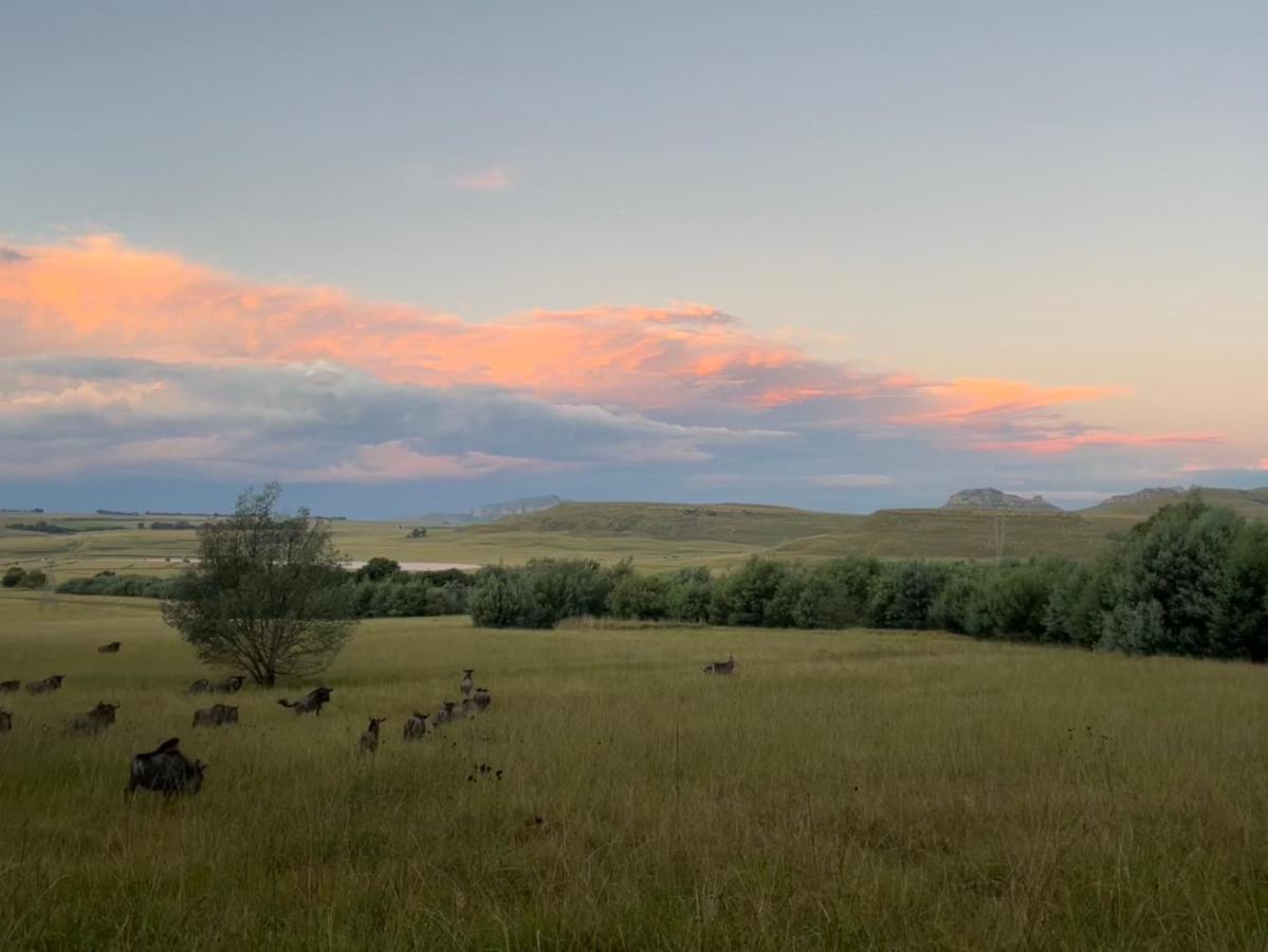 Buffalo Hills Private Game Reserve Harrismith Exterior photo