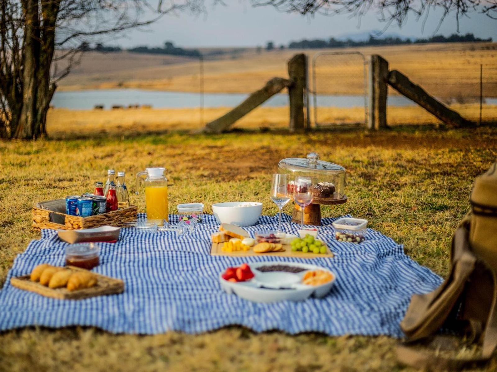 Buffalo Hills Private Game Reserve Harrismith Room photo