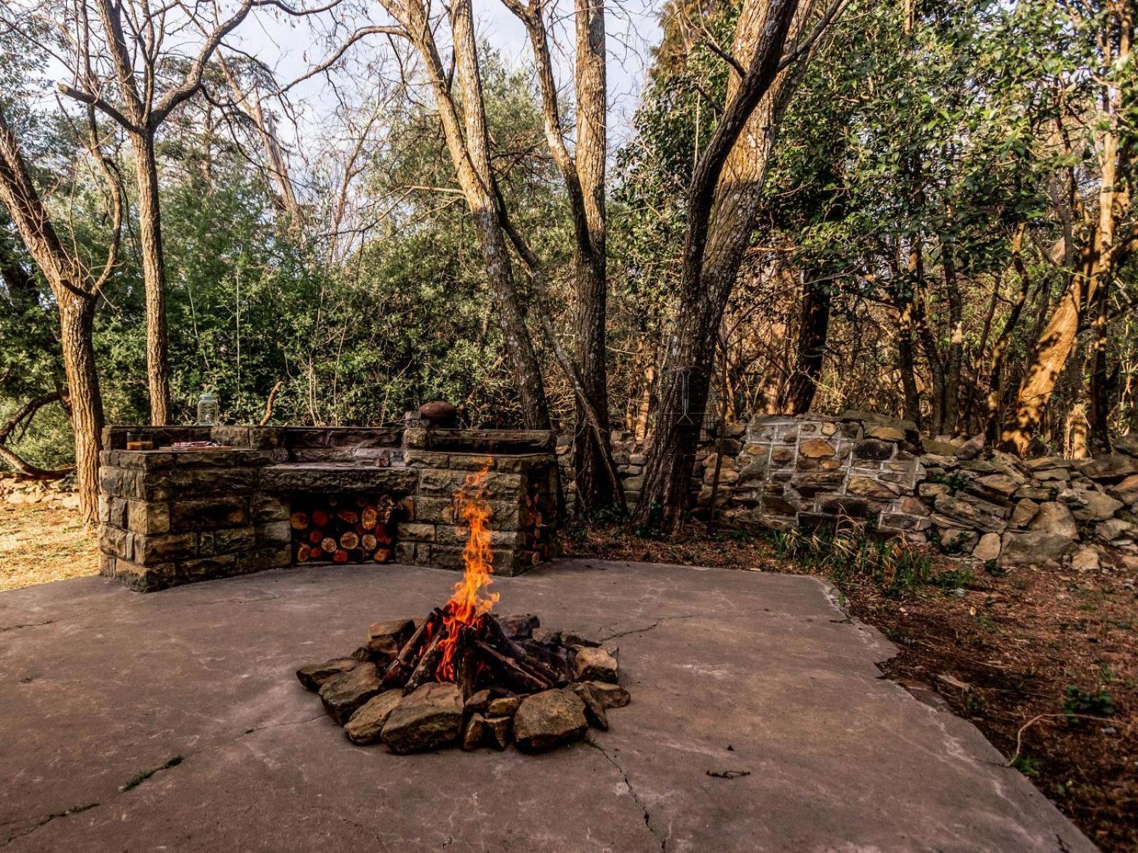 Buffalo Hills Private Game Reserve Harrismith Room photo