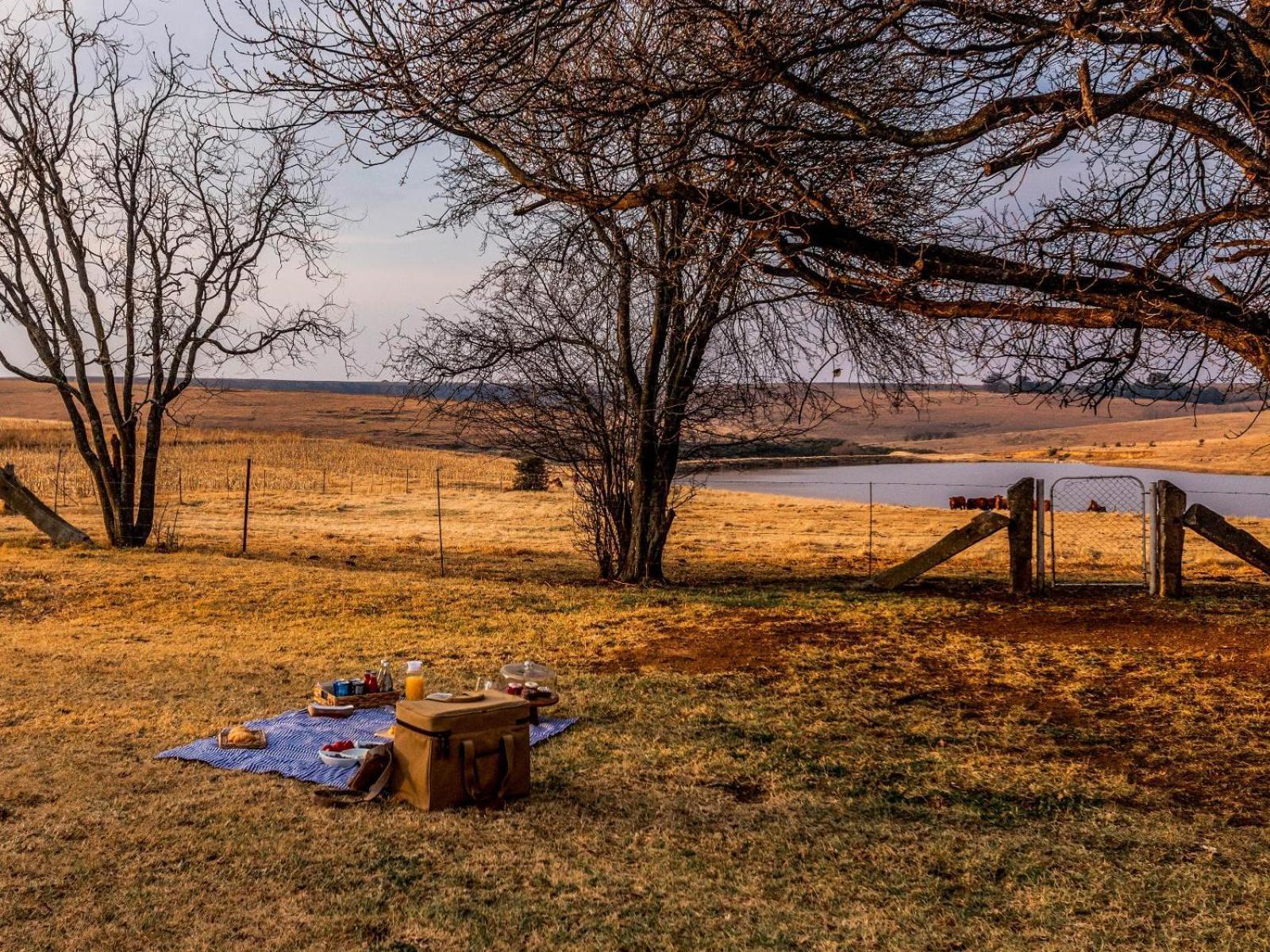Buffalo Hills Private Game Reserve Harrismith Room photo